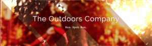 Design Tricks with SVG Filters: A Masked Blur Effect