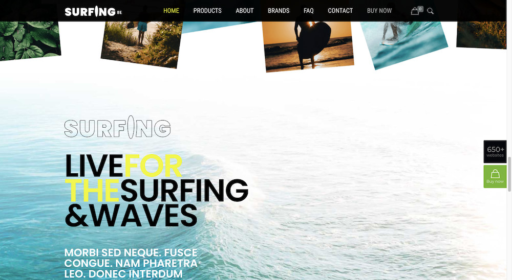 Live for the surfing theme